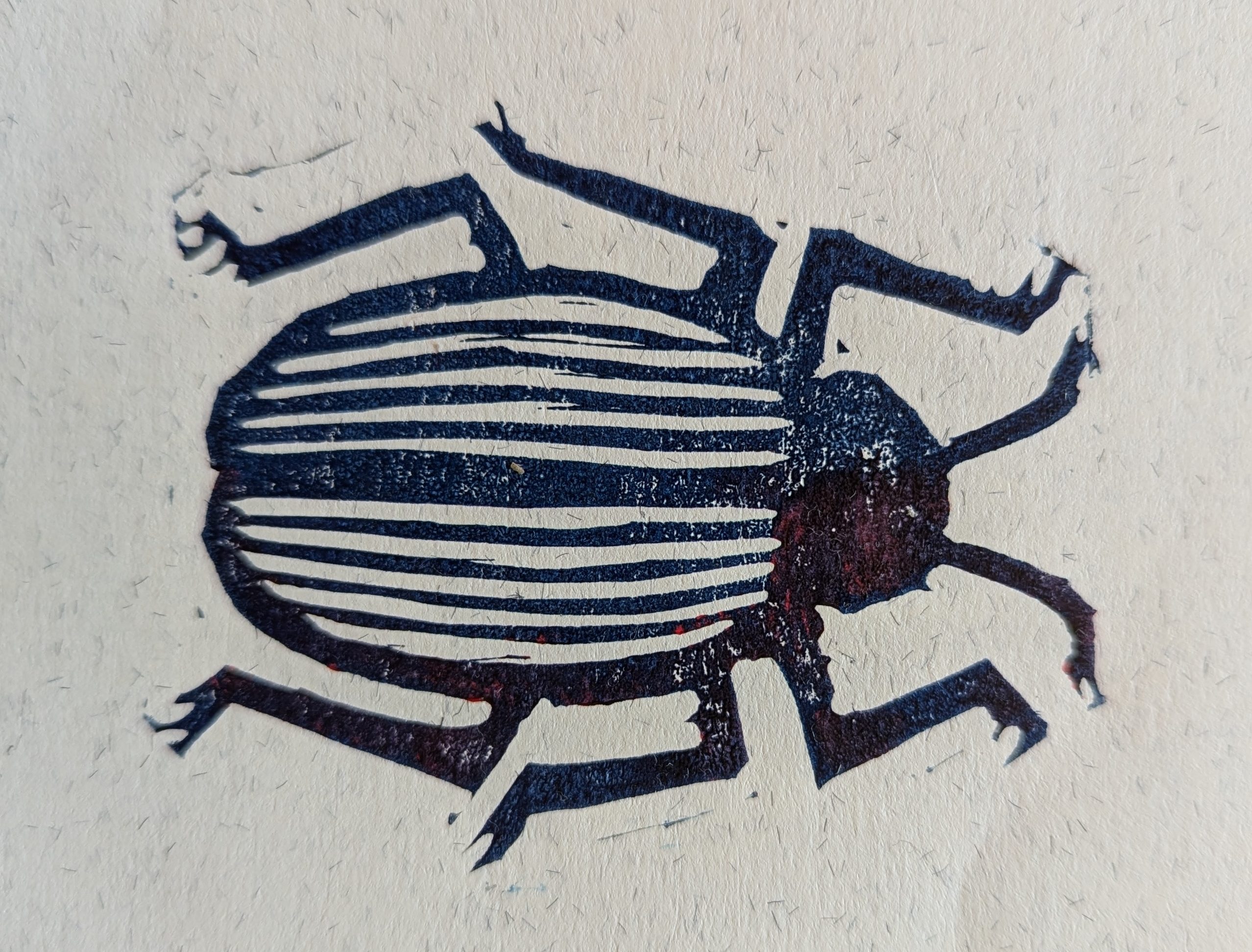 Zeniäinen on pieni zen sittiäinen.